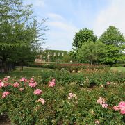 花がきれいな広大な公園