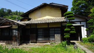 立派な日本庭園