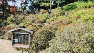 六義園全体が見渡せる標高35メートルのつつじ山