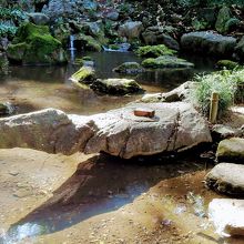 滝見の茶屋の滝が写っています、とこでしょう？