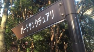 ジョギングしている人あり、バドミントンしている人あり、昼寝をしている人あり…それぞれの楽しみ方で過ごせる公園です。