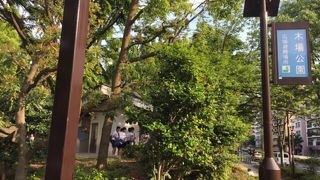 木場の広大な都立公園