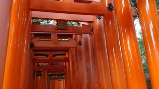 まさかの工事中