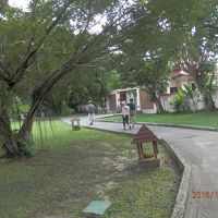 リゾートの散歩道