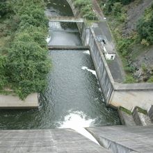 ダム堤体上から下流側を覗く