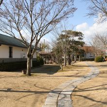 奥右手が駐車場で、この公園を通って行くと生家があります。