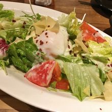 サラダ