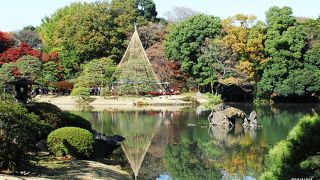 島と言われて探しても小さな岩でした