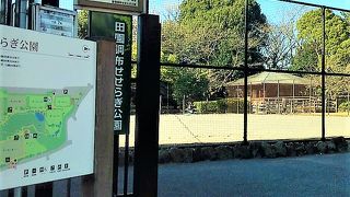 自然がいっぱい