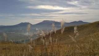 お釈迦様が寝ています