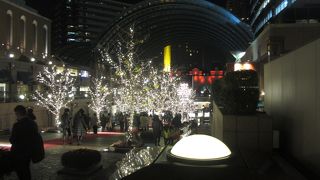 イルミネーションも見ることができたのが良かったです