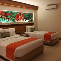 シングとダブルのツイン