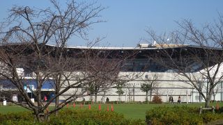 代わり映えしない展示