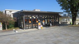 公園内の明るいカフェ