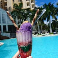 噂のハロハロ！試すなら４人一杯で十二分