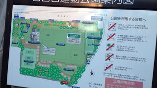 スポーツしたくなります