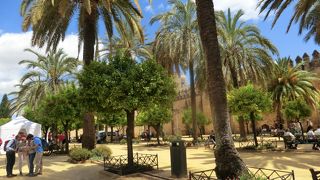 アルカサル入口近くの公園沿いに