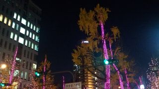 イルミネーションが施された街路樹