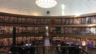 不思議な造形と本に囲まれた世界