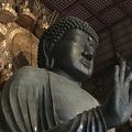 大仏の大きさに改めて圧巻