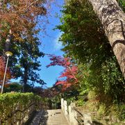 石段の紅葉が綺麗でした