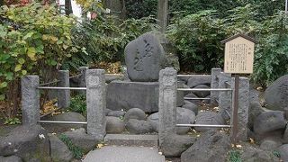 本当に持ち上げたの？