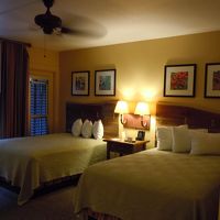 客室も十分な広さです