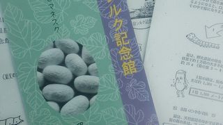 入場無料です。