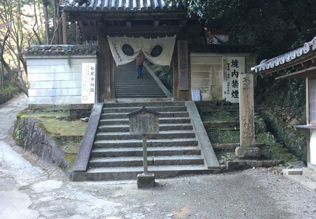松尾寺 クチコミ アクセス 営業時間 大和郡山 田原本 フォートラベル 松尾寺 クチコミ アクセス 営業時間 大和郡山 田原本 フォートラベル