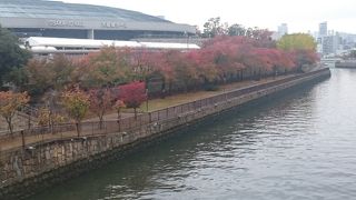 初めての大阪城