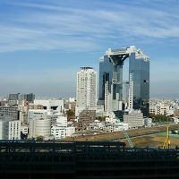 16階からです。