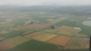 北海道らしい広く何もないような空港です。