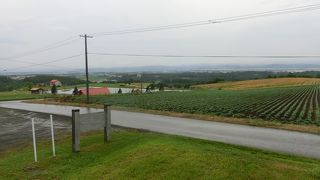 周りの畑の景色がいい