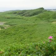 小清水原生花園を観光しました