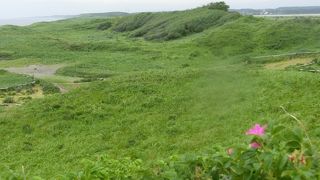 小清水原生花園を観光しました