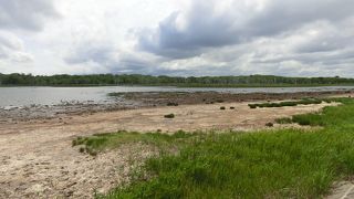 ナラワラという侵食されたミズナラの林