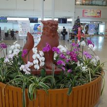 胡蝶蘭とシーサー像