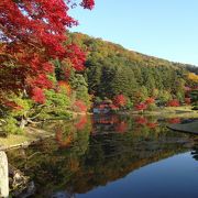 素晴らしく広大な離宮