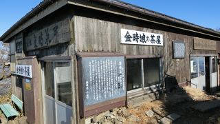 金時娘（おばあちゃん）は元気にご健在！