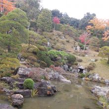 「日本名園百選」に選ばれた上下二段式『池泉鑑賞蓬莱庭園』