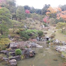 「日本名園百選」に選ばれた上下二段式『池泉鑑賞蓬莱庭園』