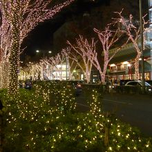 ブランドショップが並ぶ街並を輝かせます