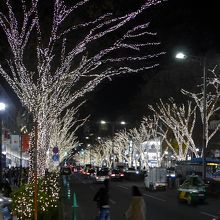 とても周りの建物も奇麗です