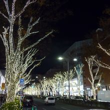 欅イルミネーション