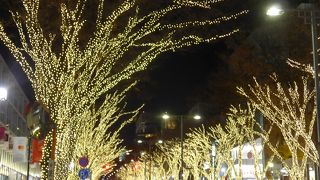 イルミネーションの原点に返れる明かり!!