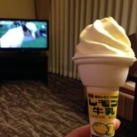 客室にて。ご当地レモン牛乳のアイス（中の売店で購入）