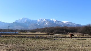 12月中旬に行ってみました。