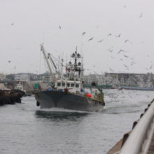 銚子漁港の風景
