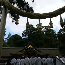 新しくなった鳥居
