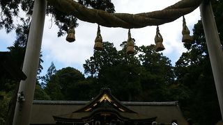 年に一度の日？